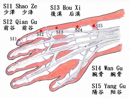 子午灵龟专业版软件