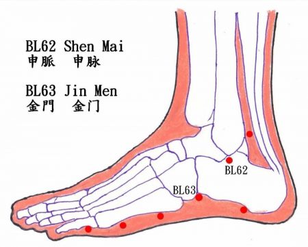 子午灵龟专业版软件