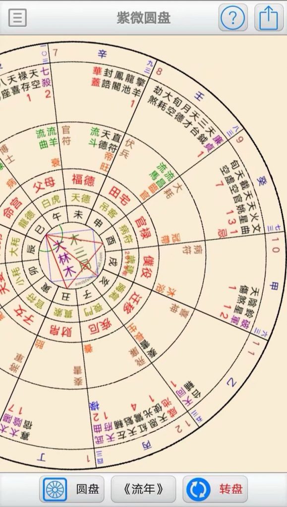 放大后的紫微斗数圆盘排盘软件